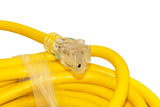 50 ft. 10/3 Heavy Duty Indoor/Outdoor Extension Cord (29-EC1050)