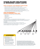 Type SSS Grade 100 Chain Assemblies. Domestic