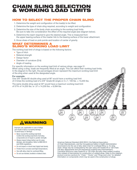 Chain Rigging Assembly Single-leg chain assembly with oblong master link on top and swivel ri ...